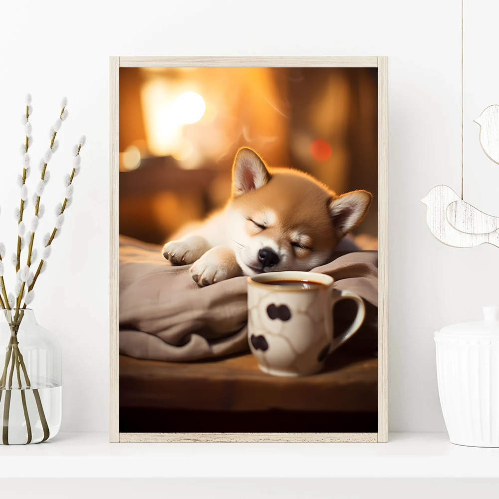 Photography Interest - 2026 Adorkable And Interesting Pet Dog